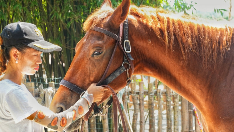 三亚海棠湾生活避坑指南 (三亚攻略海棠湾)