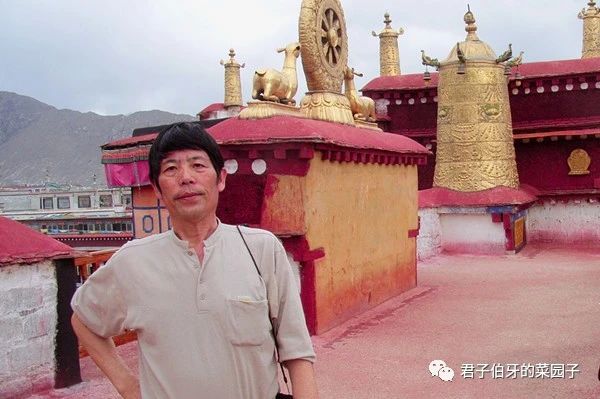 西藏之行布达拉宫,西藏之旅第一站布达拉宫