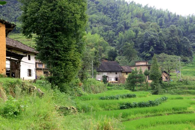 （37）长沙堎印象