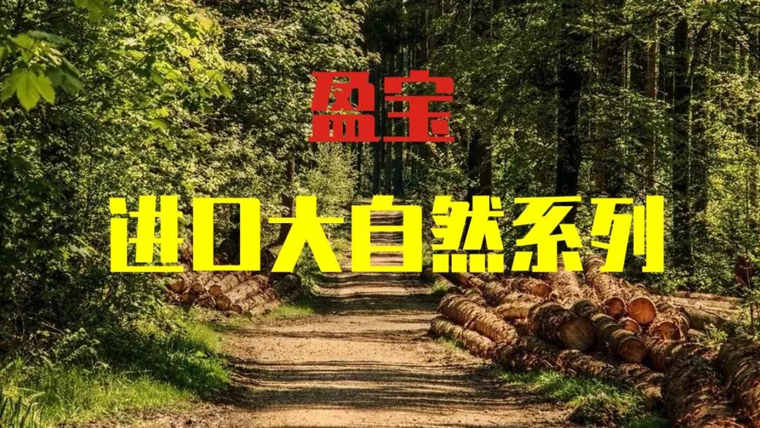 颗粒板真的是最垃圾的板材吗,颗粒板垃圾产品