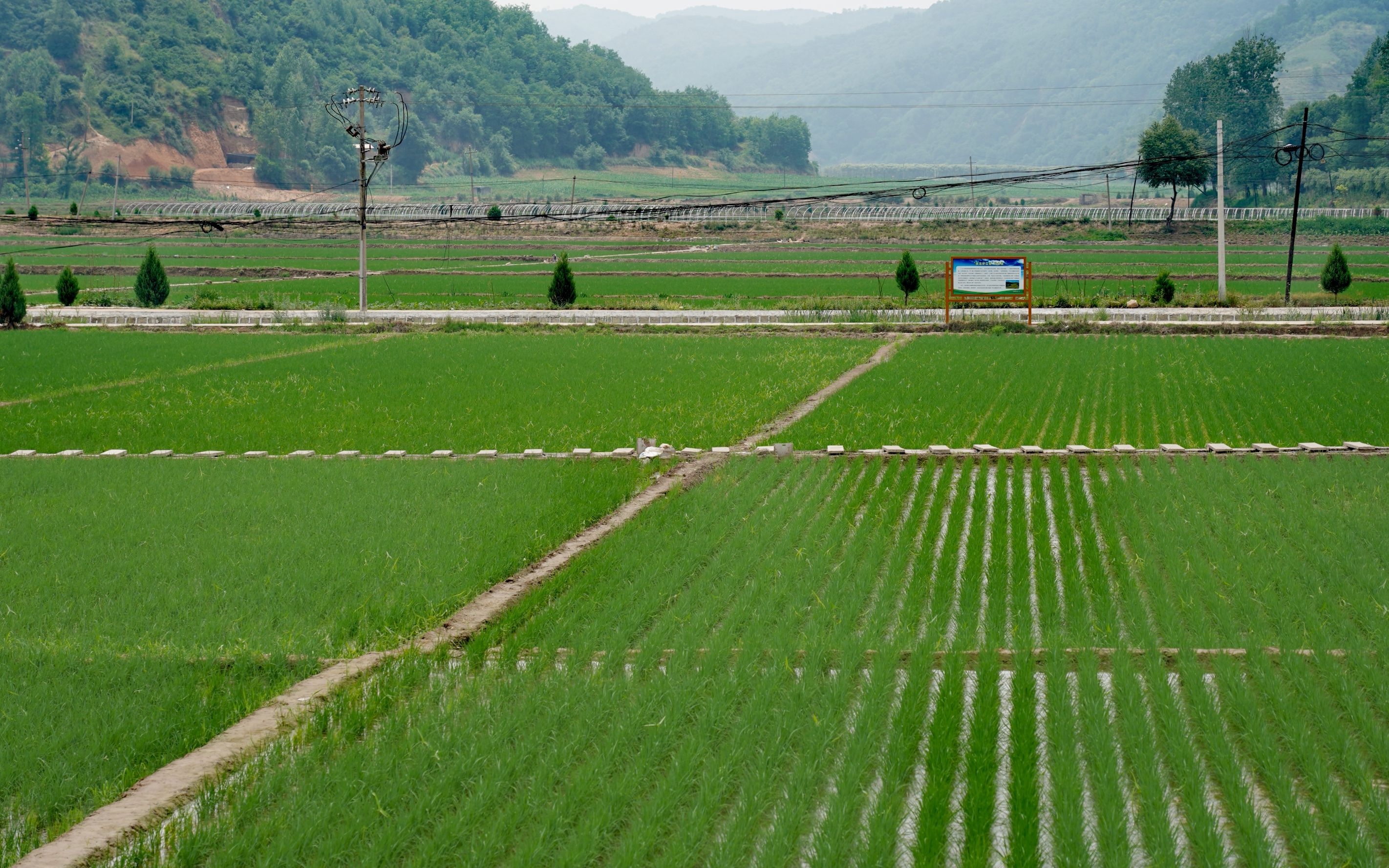 农民补贴新政策最新消息,农民合法补贴政策解读