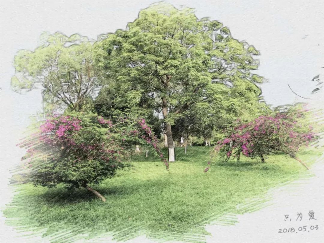 生活本来如此啥意思,生活本来如此完整版