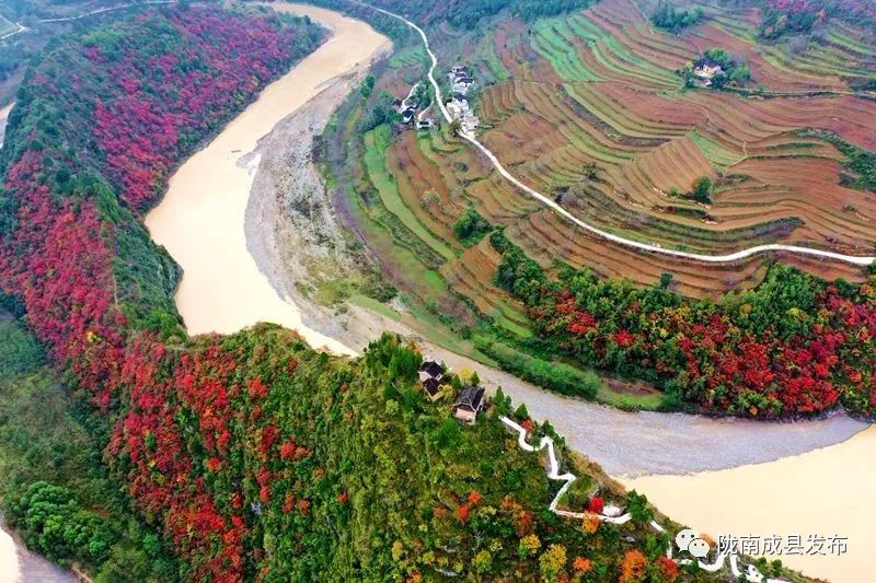 我叫成县，这是我2019年的自拍照~