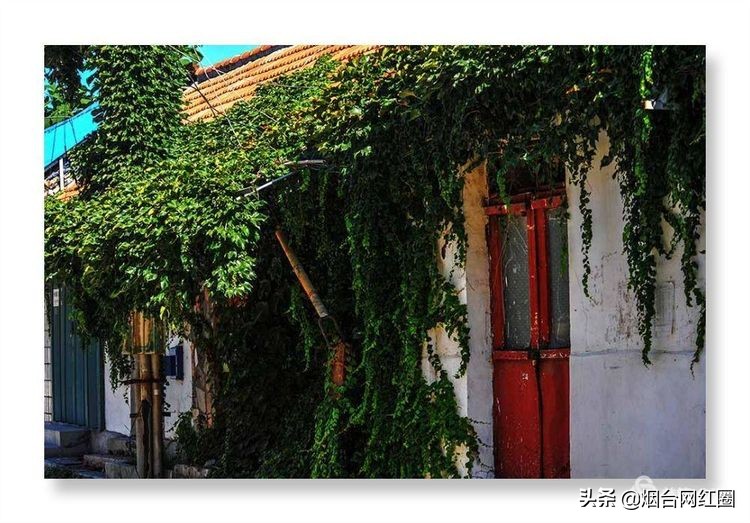 烟台所城里承载着多少回忆,烟台所城的来历