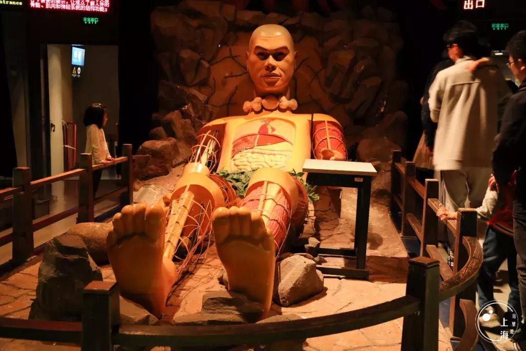 整个上海都是繁华的吗,上海一座美丽的魔都