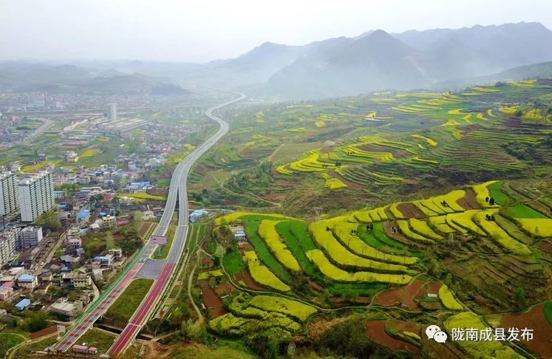 我叫成县，这是我2019年的自拍照~