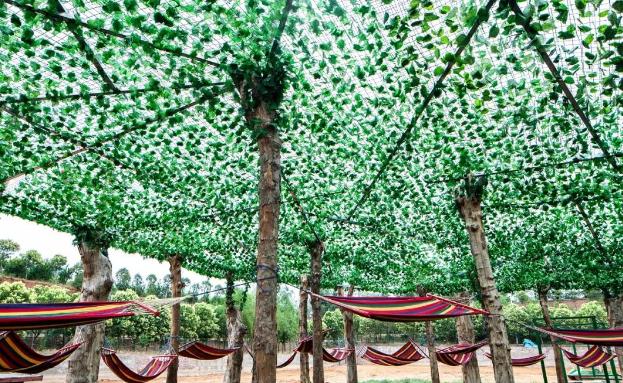 温泉灯光展,温泉灯光秀打卡点