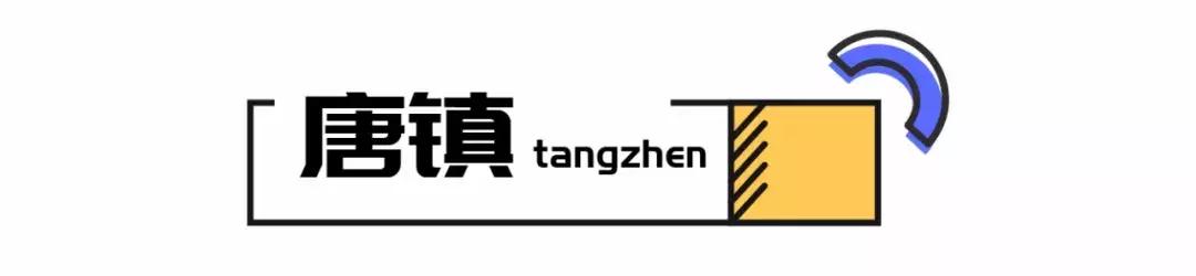 周浦镇和张江镇哪个好,周浦和唐镇哪个有潜力