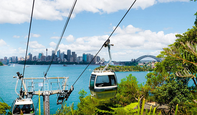 悉尼塔龙加动物园游玩攻略,悉尼塔龙嘉动物园游记