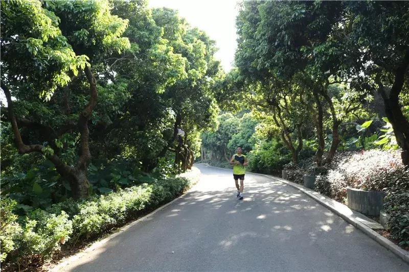 深圳莲花山看深圳风景,深圳莲花山有什么特别的地方