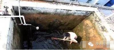 「头条」开水烫三次都杀不死的虫子，不用净水器过滤还能用什么？