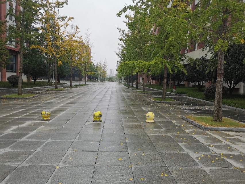 为了本科复读两年,为了本科学历复读三次