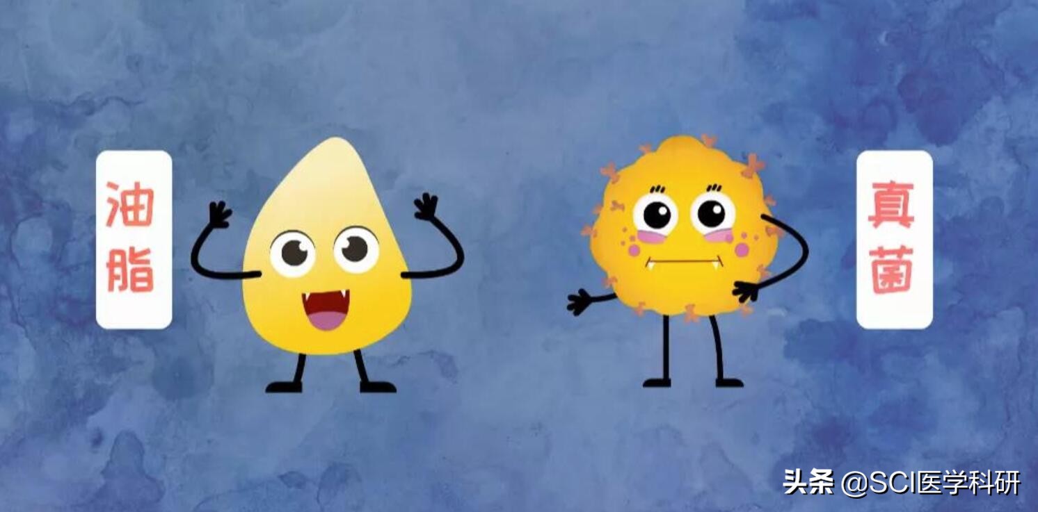 人为什么会长头皮屑简单的回答,头皮屑是什么细胞产生的