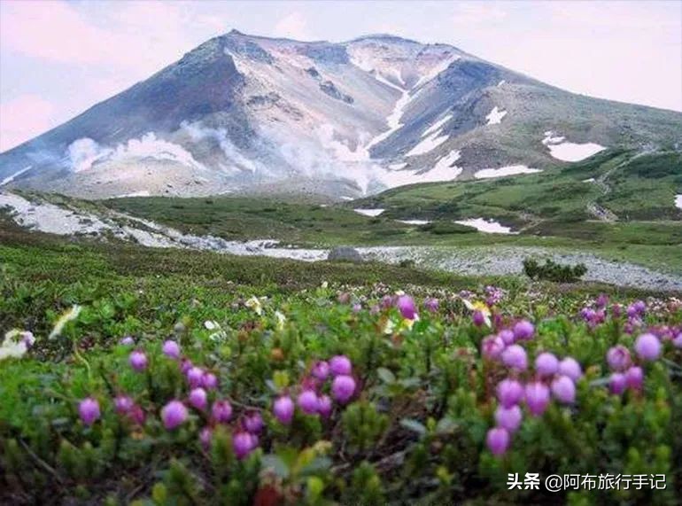 日本花海,日本30个最美花海