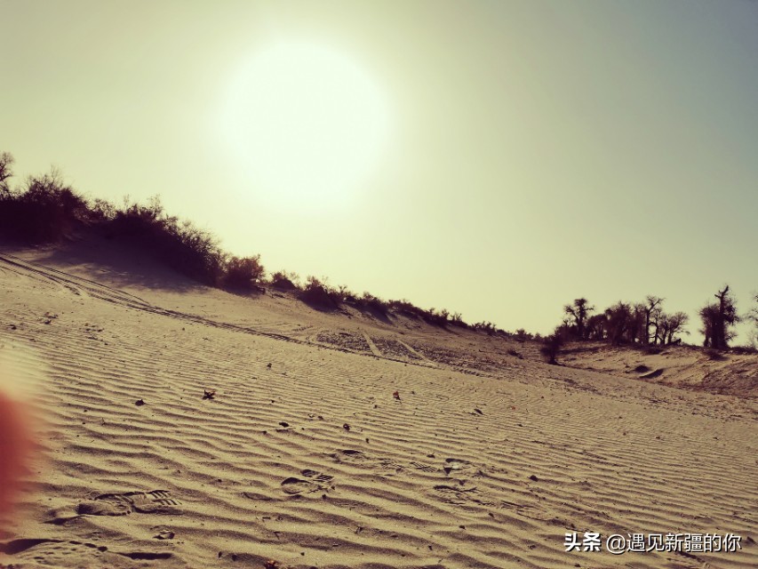 塔克拉玛干沙漠篝火晚会,六轮越野车穿越无人区