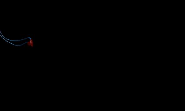 精子“欺骗”科学家343年！新研究：精子不是左右摆动前进