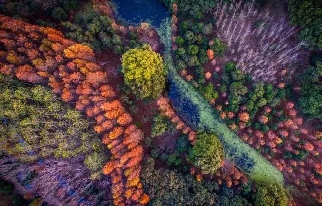 上海国庆免费景点推荐,上海值得去的免费景点旅游攻略