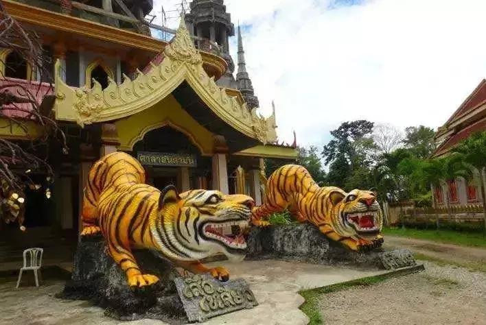 泰国甲米7天自由行攻略,5天4晚玩转泰国