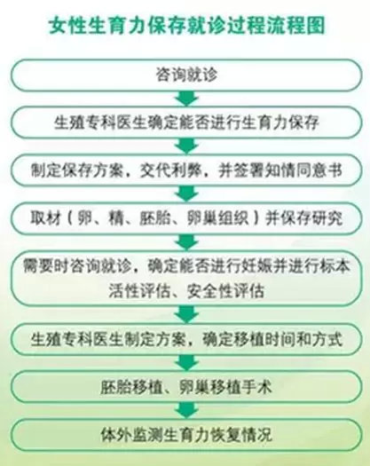 生育力保存的意义,生育力保存