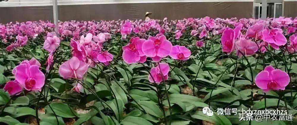 忻州保德好玩嘛,山西保德去哪玩