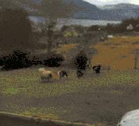 8个超级笑话,送给群里朋友乐一乐