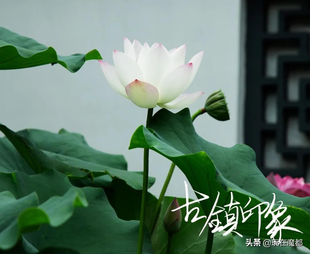 当你感觉到无聊,当你无聊时就回家乡看看