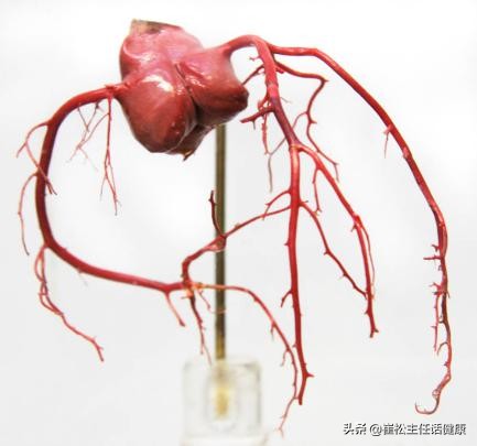 不想去医院第二弹！胸部不适的自我诊察