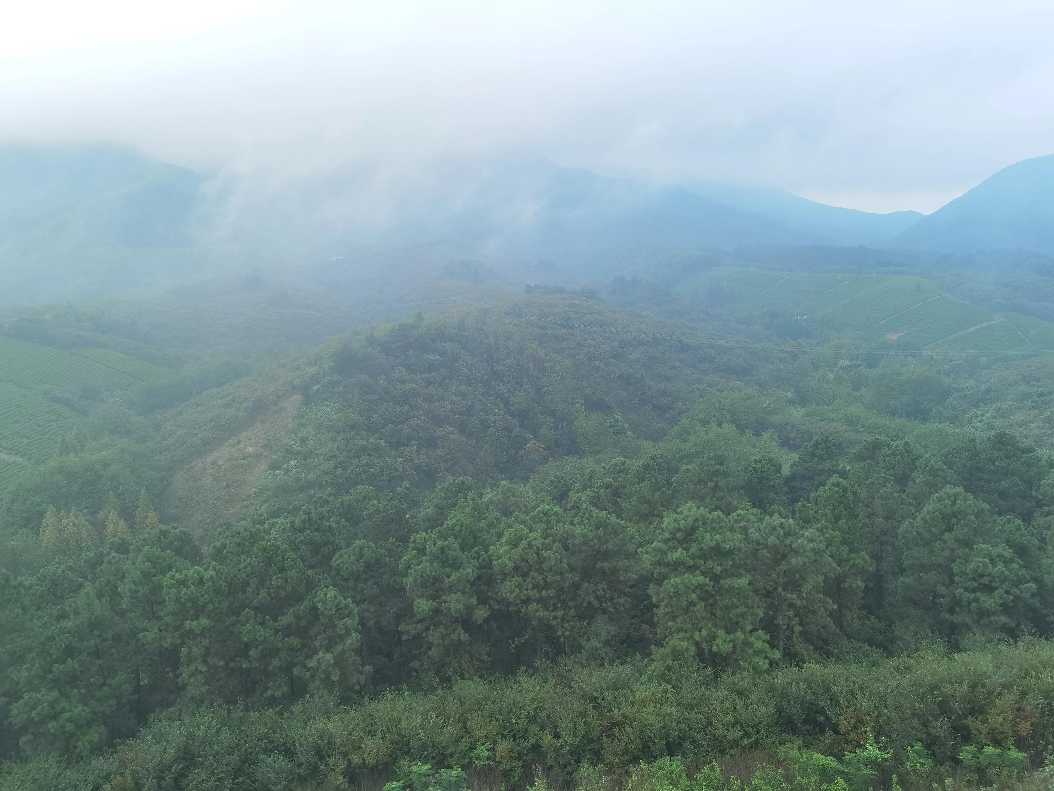 溧阳天目湖山水园有哪些玩的项目,溧阳天目湖山水园路线图怎么画