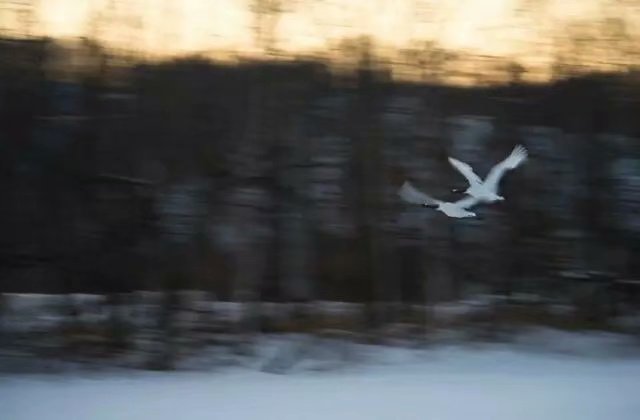 苏东坡的诗词讲述了他的一生,苏东坡最经典的诗词及赏析