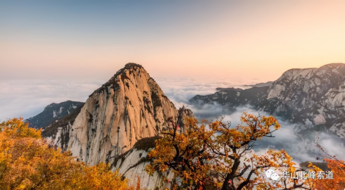 重阳节应该去哪里玩儿,重阳节夜登山赏秋