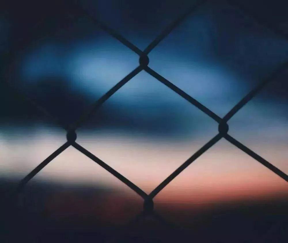 股市交易新手入门,股市交易与个人感悟