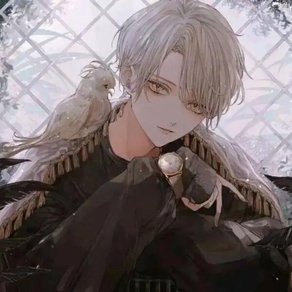 纯爱‖资源‖《嫁魔》《反派帮我搞基建》