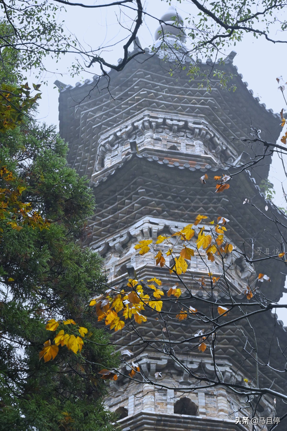台州黄岩还有崛起的时候吗,黄岩有多强