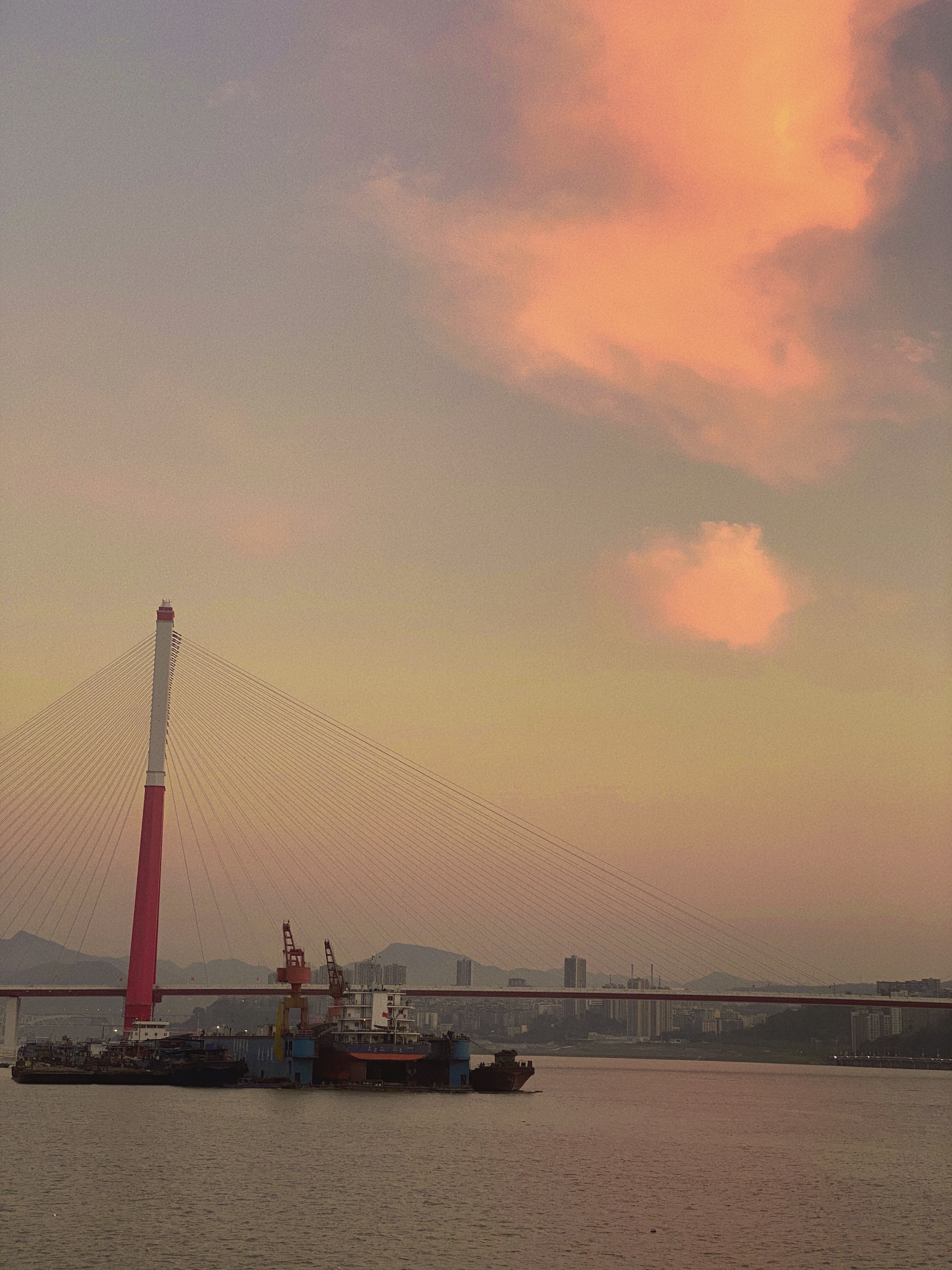 重庆主城九区宜居排名,重庆哪个区最宜居性价比最高