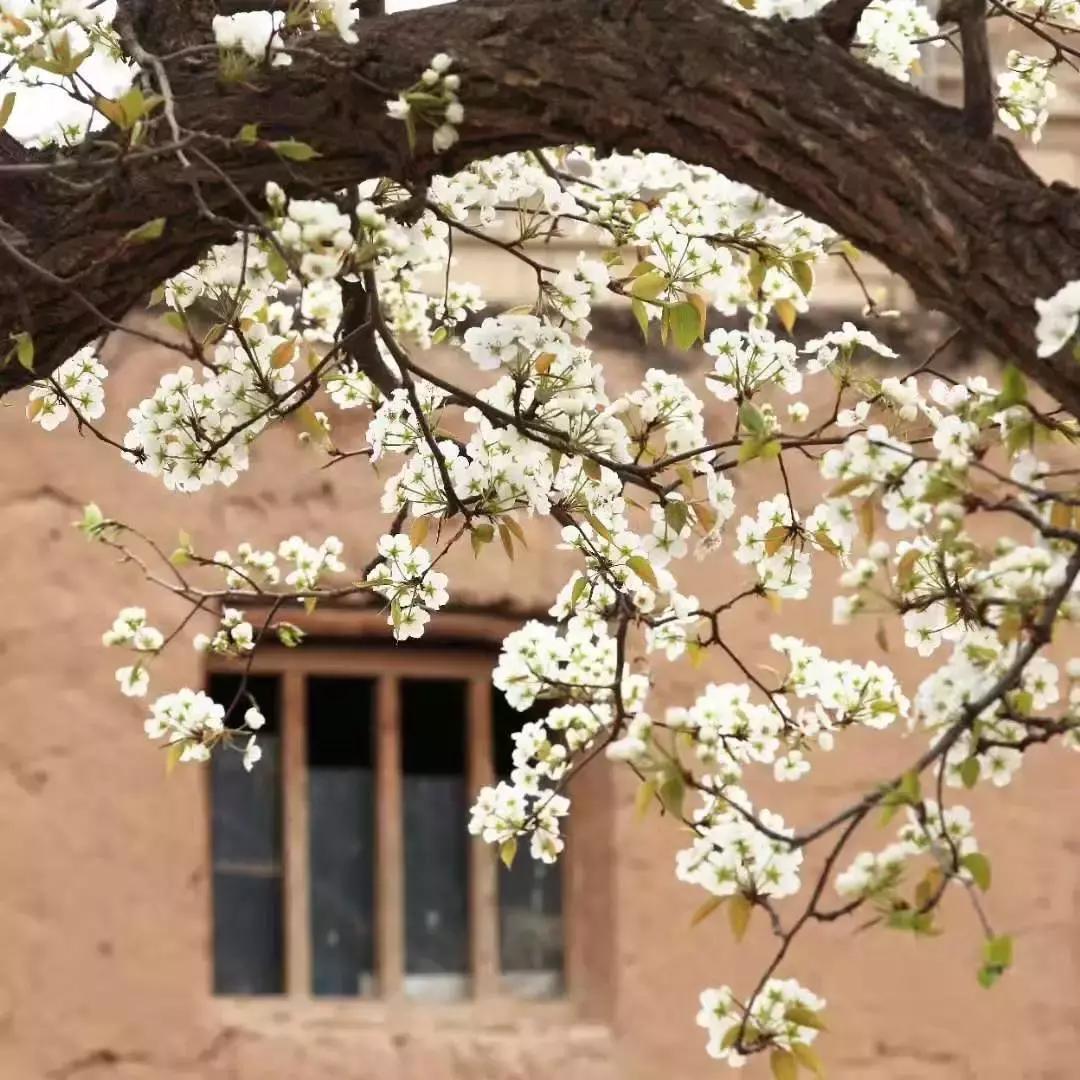 冬季去中卫黄河宿集民宿,中卫黄河宿集民宿多少钱