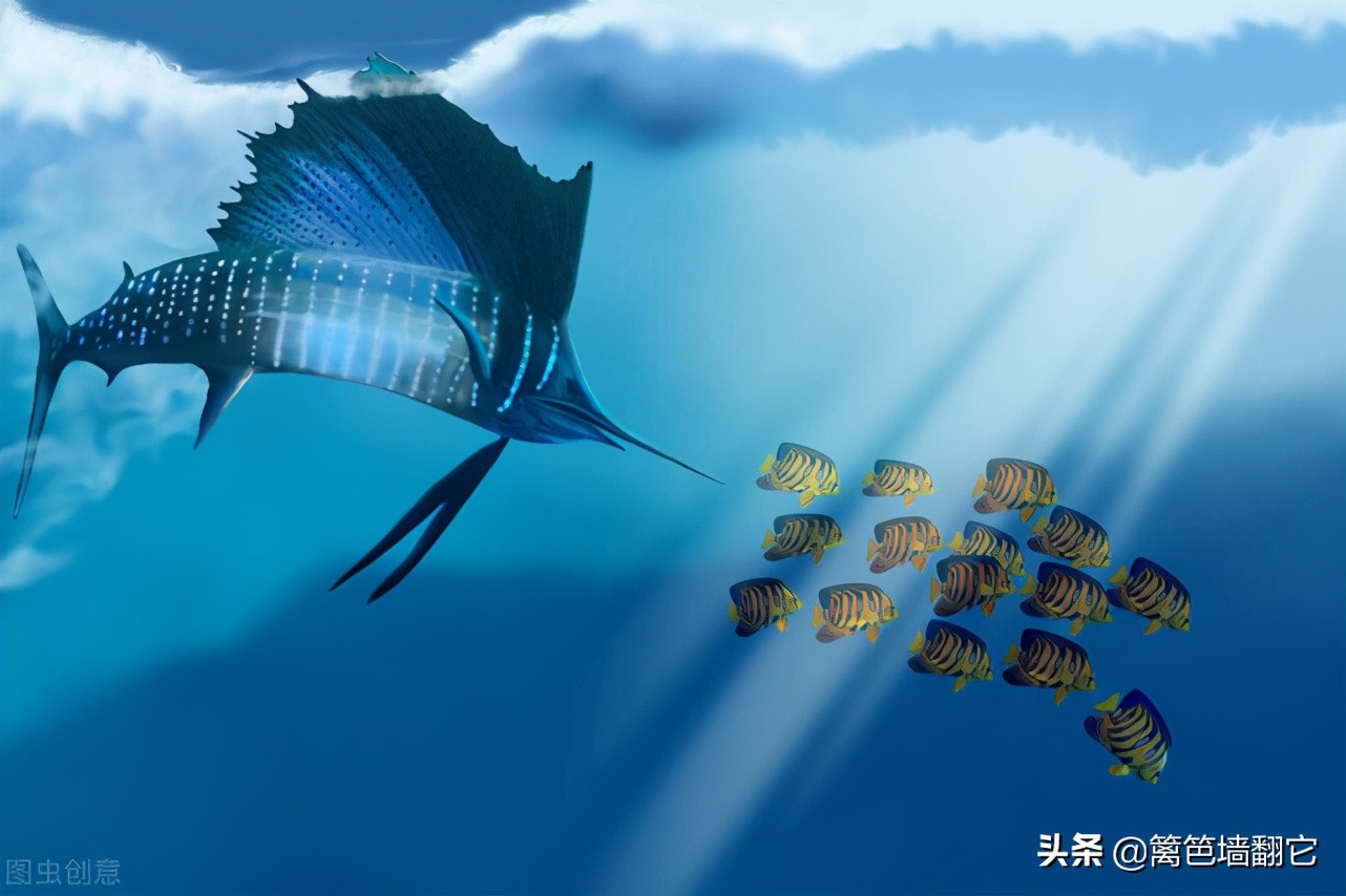 宇宙中已知最快的速度是什么,宇宙中三大超越光速的东西