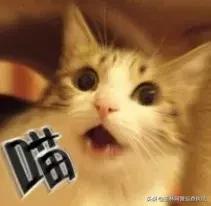 【净网2019】实名微信号被公开买卖,你的微信号也可能被盯上了!