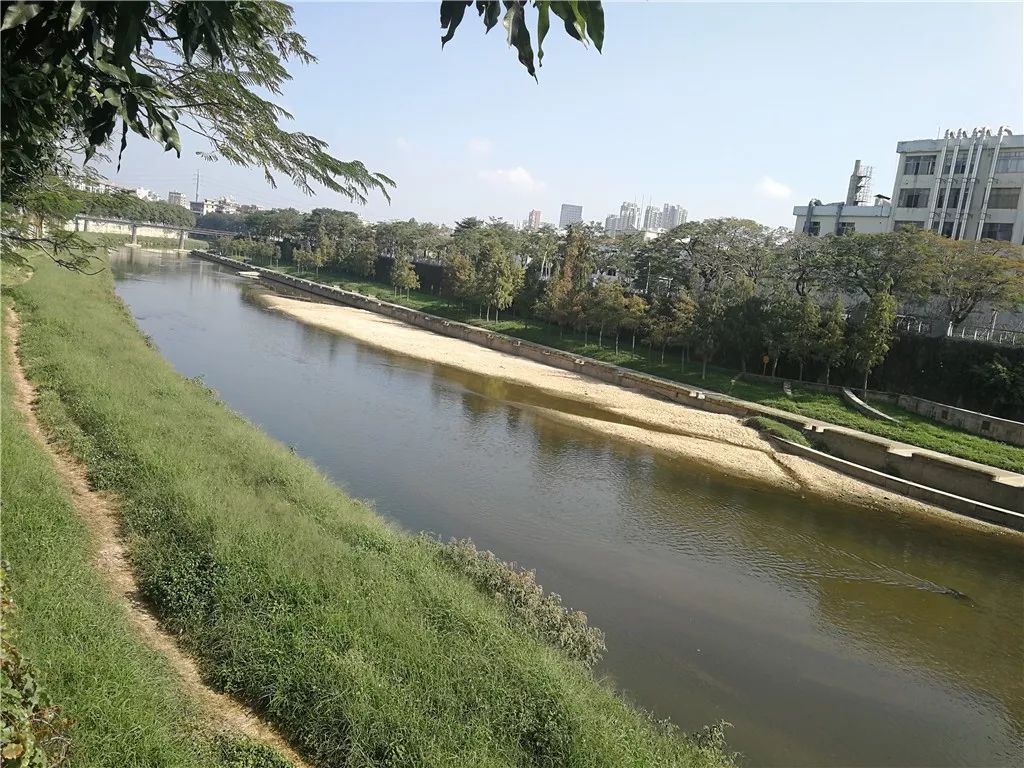 观澜鸿荣源旧改缺点,观澜鸿荣源旧改一期预计明年选房