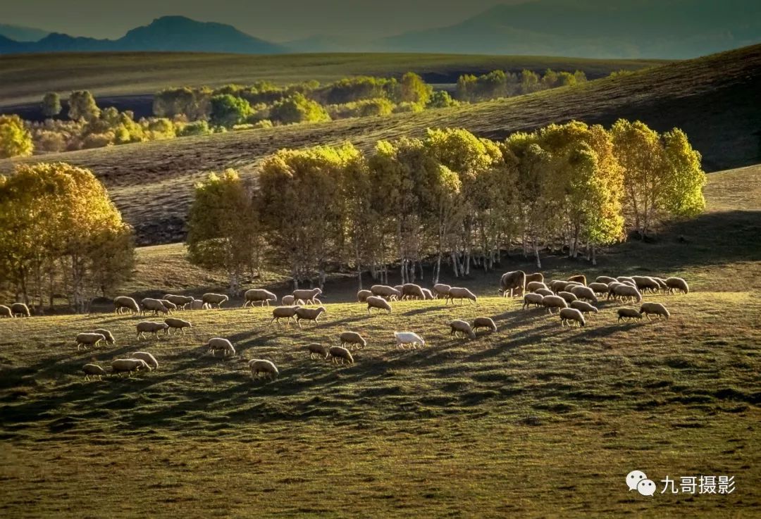 大美坝上草原全景,大美坝上风光系列之一