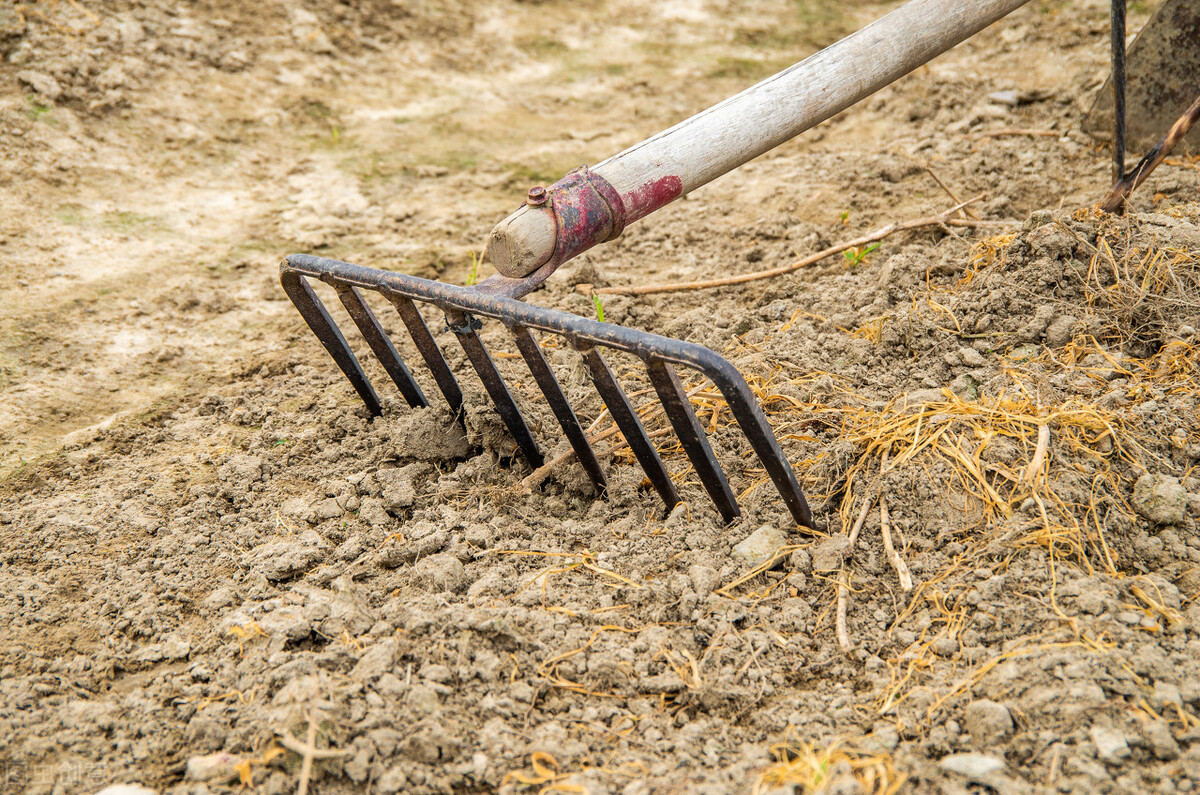 农机具正确保养方法,农机具保养小知识