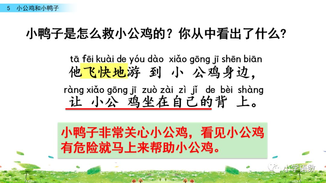 小公鸡和小鸭子一年级下册视频,一年级下语文小公鸡和小鸭子讲解