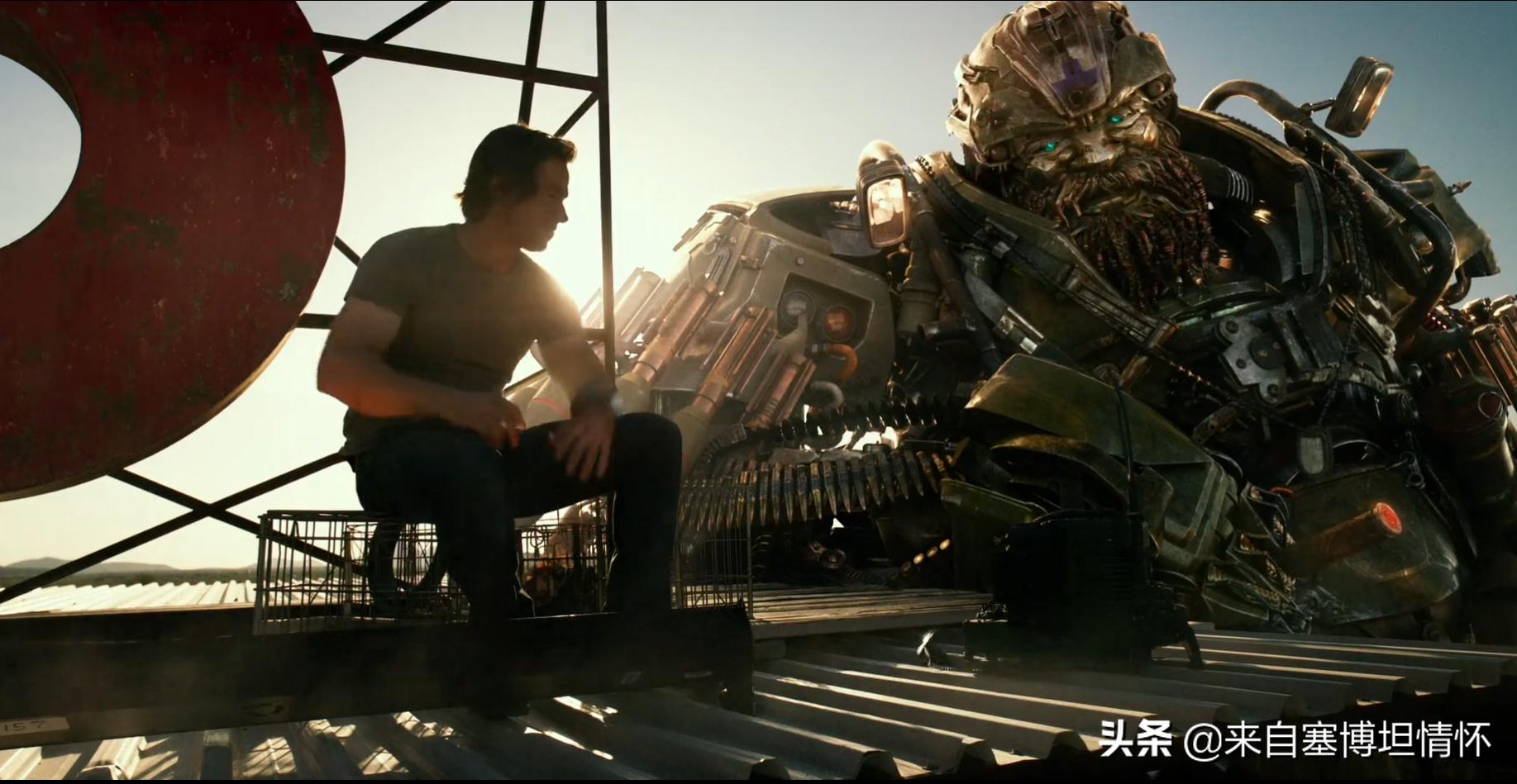 变形金刚怎么生小孩,变形金刚是怎么生小崽