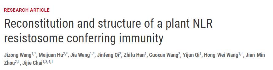 冷冻电镜最新研究,冷冻电镜研究成果涌现