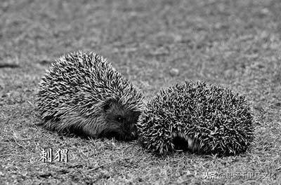 10大顶级思维定律，终于收全了！只要活学活用，定会终身受益！