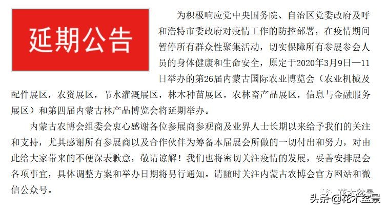 疫情对花艺行业有什么影响,疫情期间盆景怎么处理最好