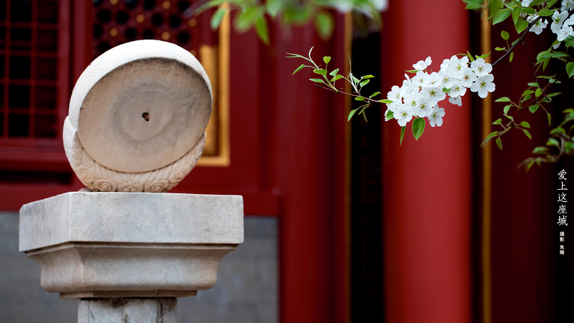 文雅如玉的男孩名字,不染世俗男孩名字大全