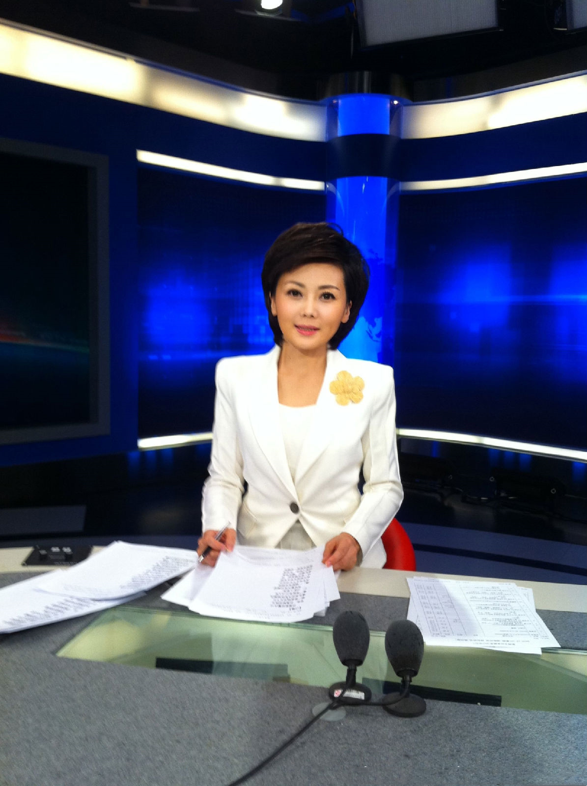 央视没结婚的十大女主持人都是谁,至今未嫁人的12位美女主持人