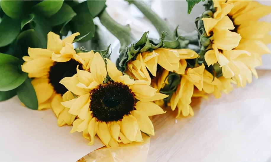 丹东二中辽宁省,在丹东二中的真实感受