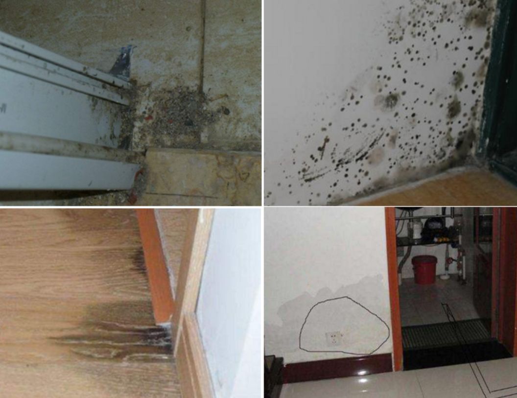 防水材料大全及使用方法,搞懂所有防水材料