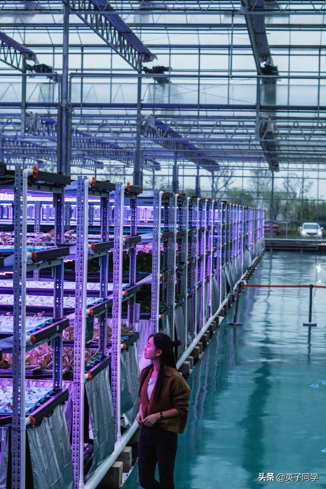 南昌农家乐采摘一日游,南昌采摘农家乐